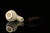 srv Premium - Deluxe Bent Bulldog Block Meerschaum Pipe with fitted case M3377