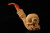 srv - Skull on Skeleton Hand Block Meerschaum Pipe with fitted case 15410