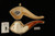 srv - Eagle's Claw Block Meerschaum Pipe with fitted case 15458