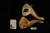 srv - Grim Reaper Block Meerschaum Pipe with custom case M3634