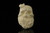 srv - Bearded Skull by Kenan Block Meerschaum Pipe with fitted case M3885