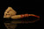 srv - Skull with Snake Block Meerschaum Pipe with fitted case M3981