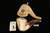 srv - Freehand Block Meerschaum Pipe with fitted case 15673