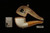 srv Premium - Freehand Block Meerschaum Pipe with fitted case M4093