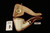 IMP Meerschaum Pipe - Aspen - Hand Carved with fitted case i2677