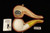 srv Premium - Apple Block Meerschaum Pipe with fitted case 15705