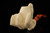 srv - Jumbo Eagle's Claw Block Meerschaum Pipe with fitted case 15728
