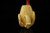srv - Eagle's Claw Block Meerschaum Pipe with fitted case M4690