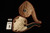 srv Premium - Leprechaun Block Meerschaum Pipe with fitted case 15868