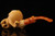 srv - Octopus Block Meerschaum Pipe with fitted case 15884