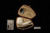 srv Premium - Bent Billiard Military Bit Pocket Pipe Block Meerschaum Pipe with pocket case M4715