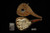 srv - Self Sitter Jungle Block Meerschaum Pipe with fitted case M4722
