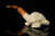 srv - Turtle Block Meerschaum Pipe with fitted case M4756