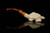srv - Turtle Block Meerschaum Pipe with fitted case M4756