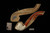 srv - Lattice Eagle's Claw Churchwarden Dual Stem Meerschaum Pipe with case M4795