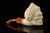 srv - Zeus Skull Block Meerschaum Pipe with fitted case M4817