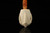 srv - Lattice Eagle's Claw Churchwarden Block Meerschaum Pipe with fitted case M4945