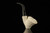 srv Premium - Rustic Sitter 9 mm Filter Block Meerschaum Pipe with case M4963