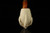srv - Eagle's Claw Block Meerschaum Pipe with fitted case M4982