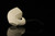 srv Premium - Soft Cream Sitter Block Meerschaum Pipe with fitted case M4983