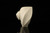 srv Premium - Soft Cream Sitter Block Meerschaum Pipe with fitted case M4983