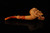 srv - Sailor Skull Block Meerschaum Pipe by Kenan with fitted case M4987