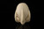 srv - Jumbo Eagle's Claw Block Meerschaum Pipe with fitted case M4993