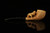 srv - Wolf Block Meerschaum Pipe by Kenan with fitted case M4995
