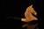 srv - Horse Block Meerschaum Pipe by Kenan with fitted case M4996