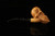 srv - Skull with Beard Block Meerschaum Pipe by Kenan with fitted case M4998
