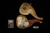 srv - Natural Raw Block Meerschaum Pipe with fitted case M4999