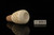 Meerschaum Coloring Bowl M5003