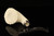 IMP Meerschaum Pipe - Ayder Plateau - Hand Carved 9 mm Filter Pipe with case i2708r