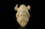 srv - Viking Block Meerschaum Pipe by Cevher with fitted case M5087