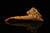 srv - Skull with Horns Block Meerschaum Pipe with fitted case M5156