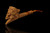 srv - Skull with Horns Block Meerschaum Pipe with fitted case M5156