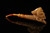 srv - Skull with Horns Block Meerschaum Pipe with fitted case M5156