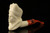 srv - Pirate Lady Block Meerschaum Pipe by Kenan with fitted case M5199