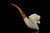 srv - Tiger Block Meerschaum Pipe with fitted case M5205
