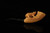 srv - Bear Block Meerschaum Pipe by Kenan with fitted case M5227