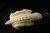 Horses in an Eagle's Claw Meerschaum Pipe in a fitted CASE 8005