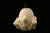 Eagle's Claw Hand Carved Block Meerschaum Pipe in custom case 9936