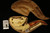 Eagle's Claw Hand Carved by KUDRET Block Meerschaum Pipe in custom case 9984