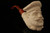 Chef Hand Carved Block Meerschaum Pipe by I. Baglan with custom case 10036