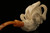 Skull n Snake in Eagle's Claw Block Meerschaum Pipe with case 10060