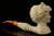 Princess Diana Memorial Pipe Block Meerschaum with custom case 9263r