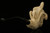 Skull in Claw & Snake Block Meerschaum Pipe with custom case 10436