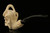 Skull in Claw & Snake Block Meerschaum Pipe with custom case 10436