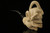 Skull in Claw & Snake Block Meerschaum Pipe with custom case 10436
