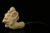 Skull in Claw & Snake Block Meerschaum Pipe with custom case 10436